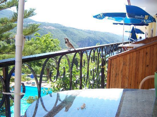 Bella Vista Hotel And Apartments Parga Exteriör bild